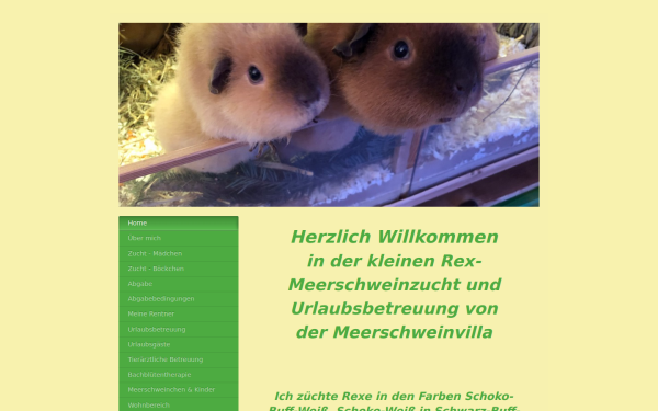 www.meerschweinvilla.de