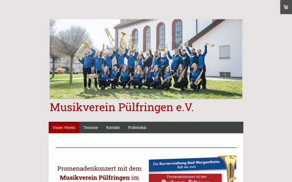www.musikverein-puelfringen.de
