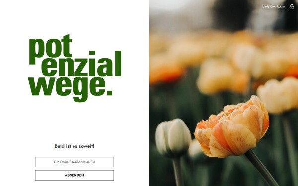 www.potenzialwege.de