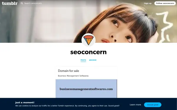 seoconcern.com