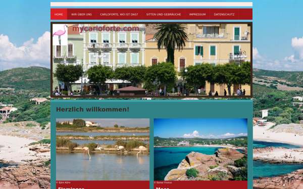 www.mycarloforte.com