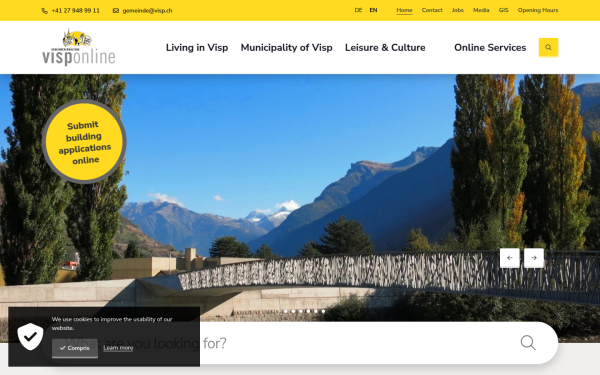 www.visp.ch