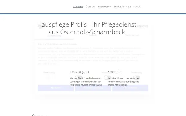 www.hauspflege-profis.de