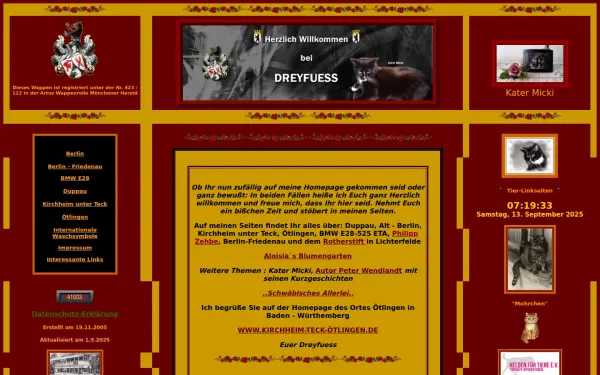 dreyfuess.de