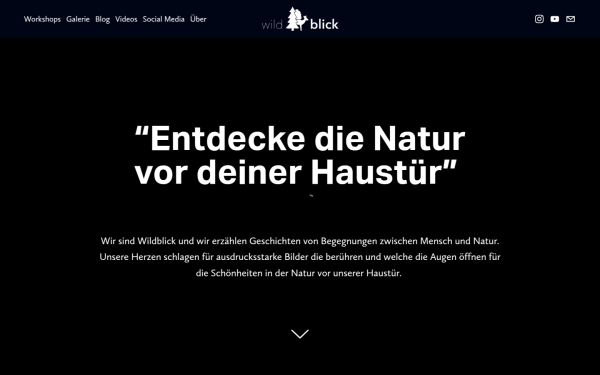 wildblick.art