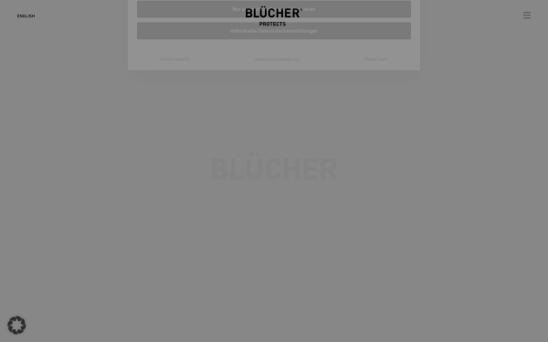 bluecher.com
