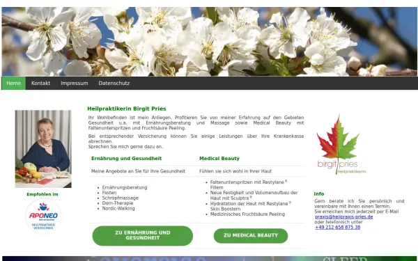 heilpraxis-pries.de