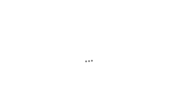 ms-andau.at