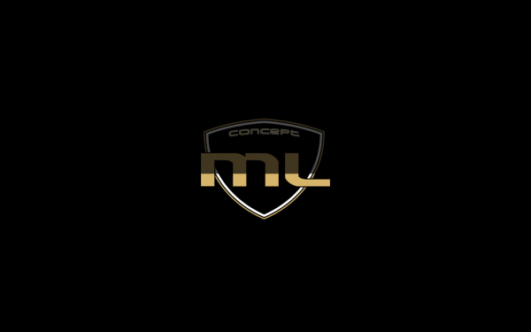 ml-concept.de