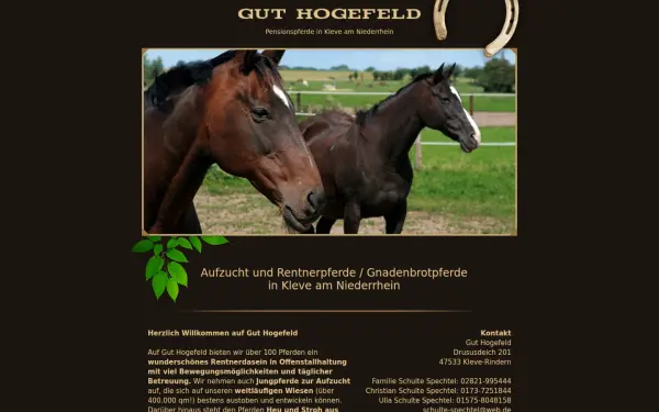gut-hogefeld.de