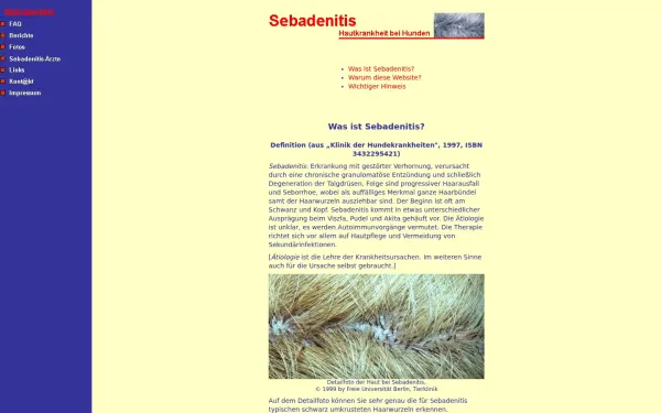 www.sebadenitis.de