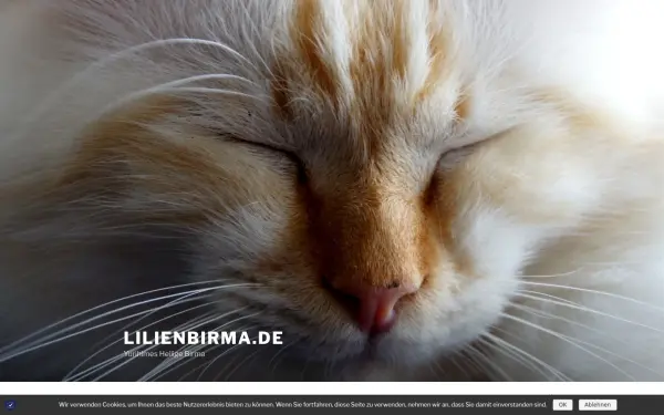 lilienbirma.de