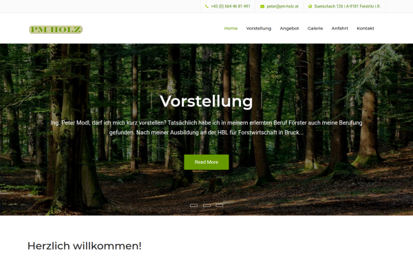 pm-holz.at