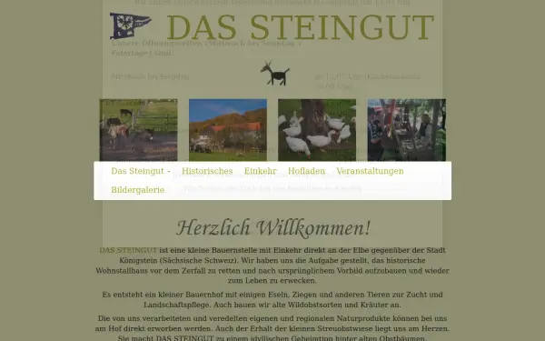 www.dassteingut.de
