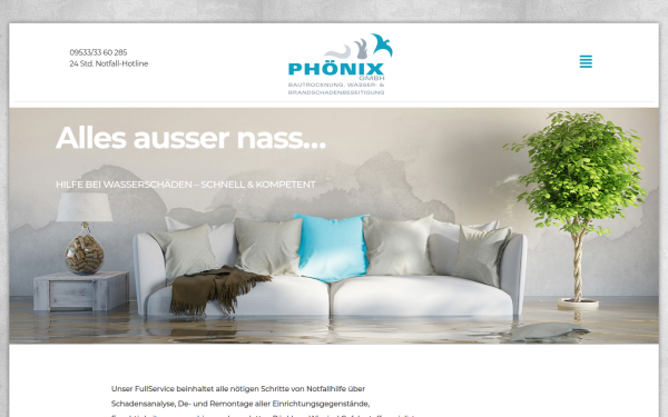 phoenix-bautrocknung.de