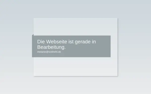 media-initiative.de