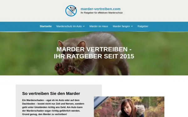 www.marder-vertreiben.com