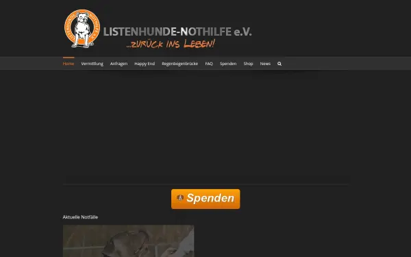 listenhunde-nothilfe.de