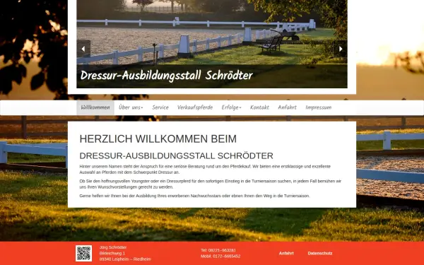 dressur-pferde.de