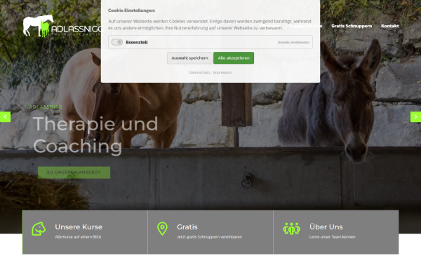 adlassnigg.at