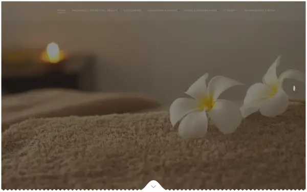 ayurvedazentrum-malente.de