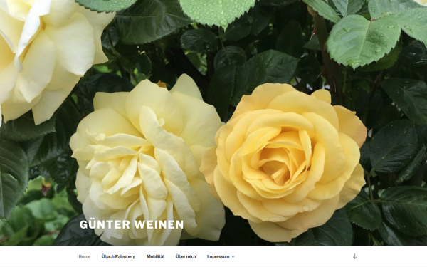 guenter-weinen.de