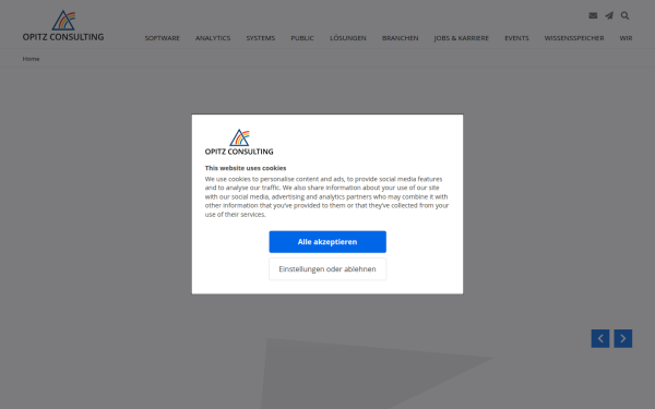 www.opitz-consulting.com