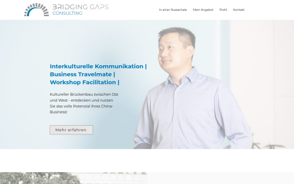 www.bridging-gaps.at