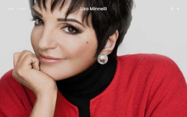 lizaminnelli.com
