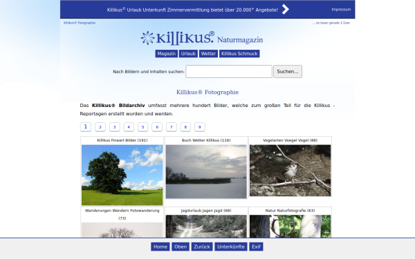 kilikus.de
