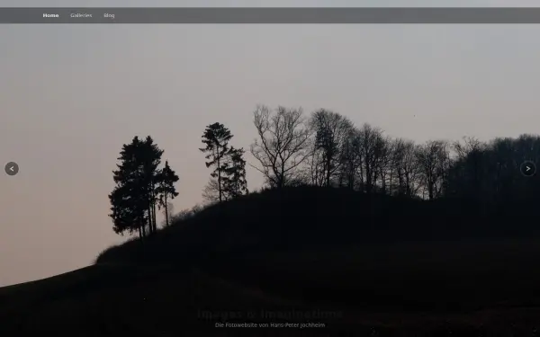 hanspeterjochheim.de