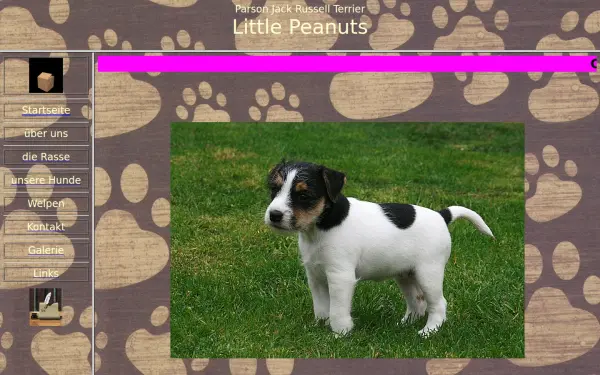 littlepeanuts.de
