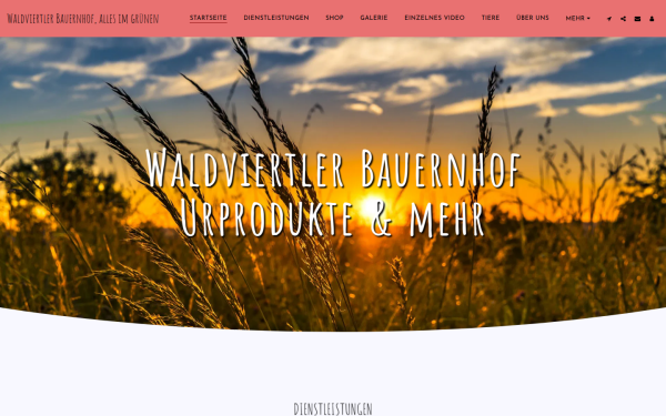 www.alles-im-gruenen.at