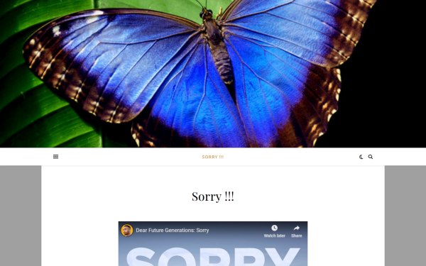 bluemorpho.biz