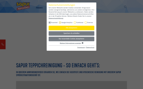 www.sapurprofessionell.de