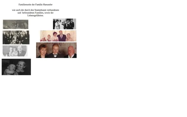 haeuseler.de