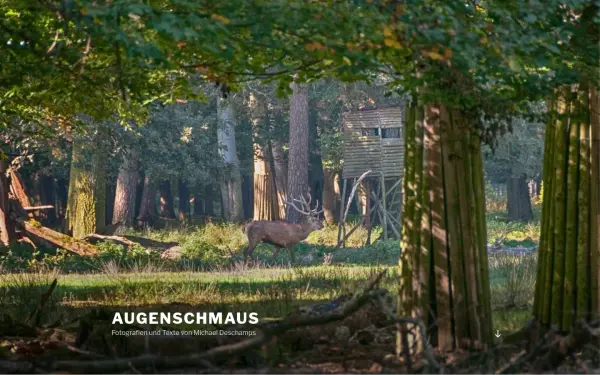 augenschmaus.athost.de