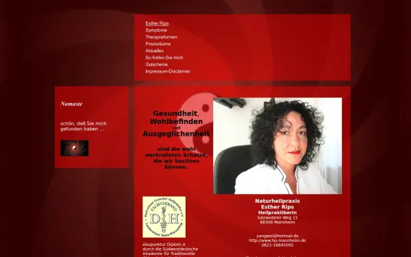 heipraktiker-akupunktur-tuina-reiki-mannheim.de