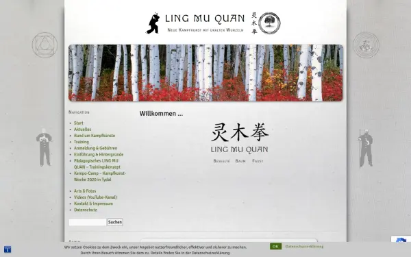 ling-mu-quan.de