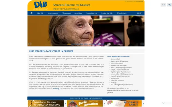 dib-ggmbh.de