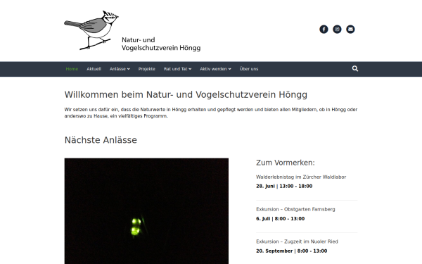 nvvhoengg.ch