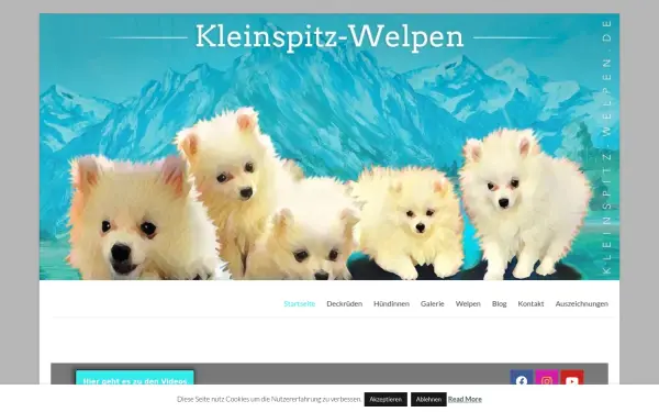 kleinspitz-welpen.de