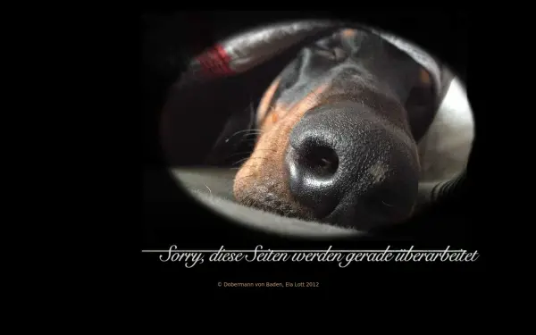 dobermannvonbaden.de