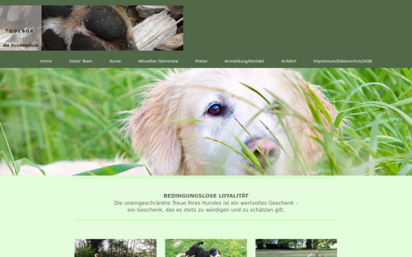www.toolbox-hundeschule.de