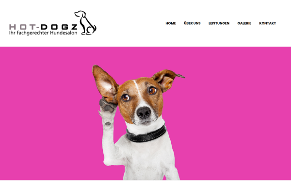 hot-dogz.de