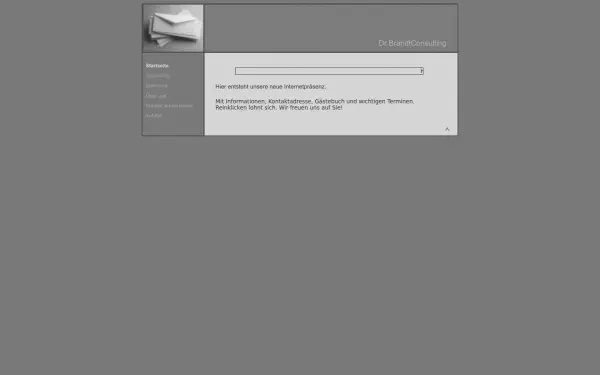 drbrandtconsulting.de