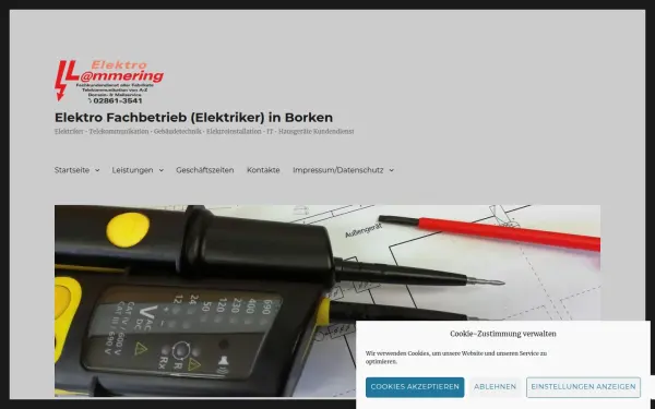 elektrolammering.de