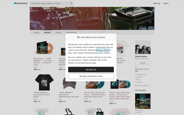 strayfossa.bandcamp.com