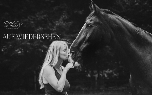 windimhaar.at