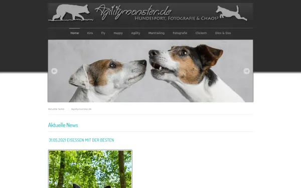 agilitymonster.de